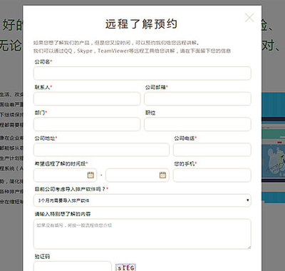 软件公司网站定制,工厂排产软件开发网站定制,深圳特耐信息系统软件